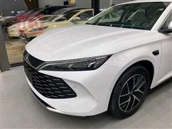 بي واي دي كوين L DM-i